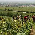 Goldbaechel Hotel Wachenheim an der Weinstrasse