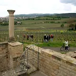 Hotel Goldbaechel 3*