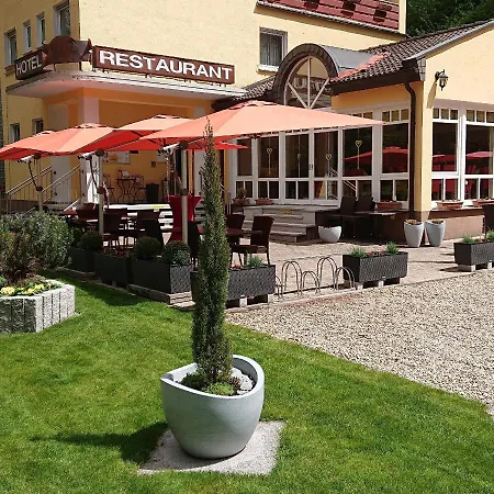 فندق Goldbaechel 3*