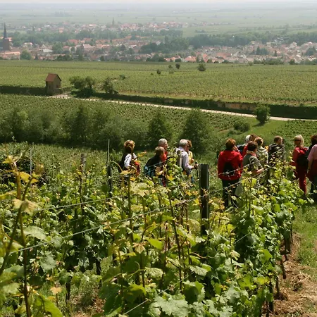 Goldbaechel فندق Wachenheim an der Weinstraße