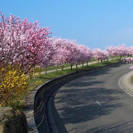 فندق Goldbaechel