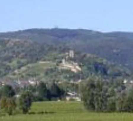 Hotell Goldbaechel 3*