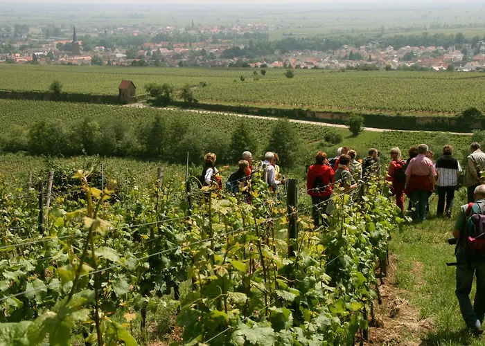 Goldbächel Hotel Wachenheim an der Weinstraße