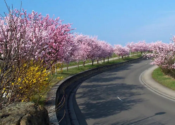 酒店 戈尔巴切尔酒店