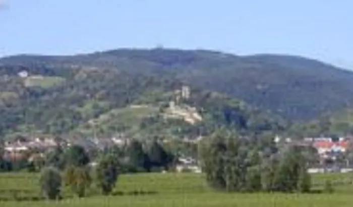 Szálloda Goldbaechel 3*